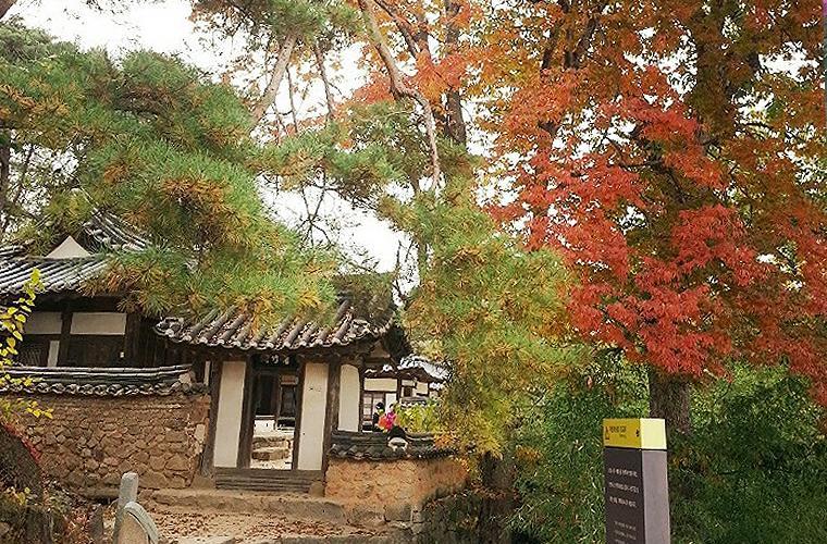 Okyeon Jeongsa Bed and Breakfast Andong Εξωτερικό φωτογραφία