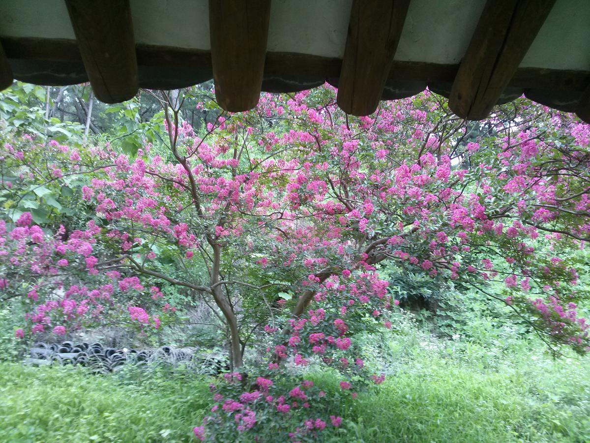 Okyeon Jeongsa Bed and Breakfast Andong Εξωτερικό φωτογραφία