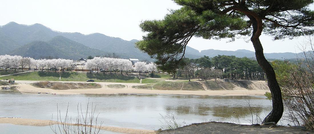 Okyeon Jeongsa Bed and Breakfast Andong Εξωτερικό φωτογραφία